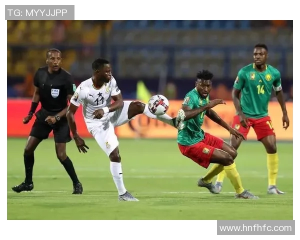 卢多戈雷与费球队对决精彩回顾及赛后分析